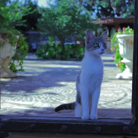 Homestay Dort Mevsim Evi *
